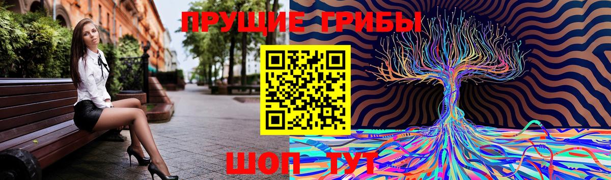 купить наркоту  Галлюциногенные грибы мицелий  Вход с VPN  Нарткала  Псилоцибиновые грибы мицелий 