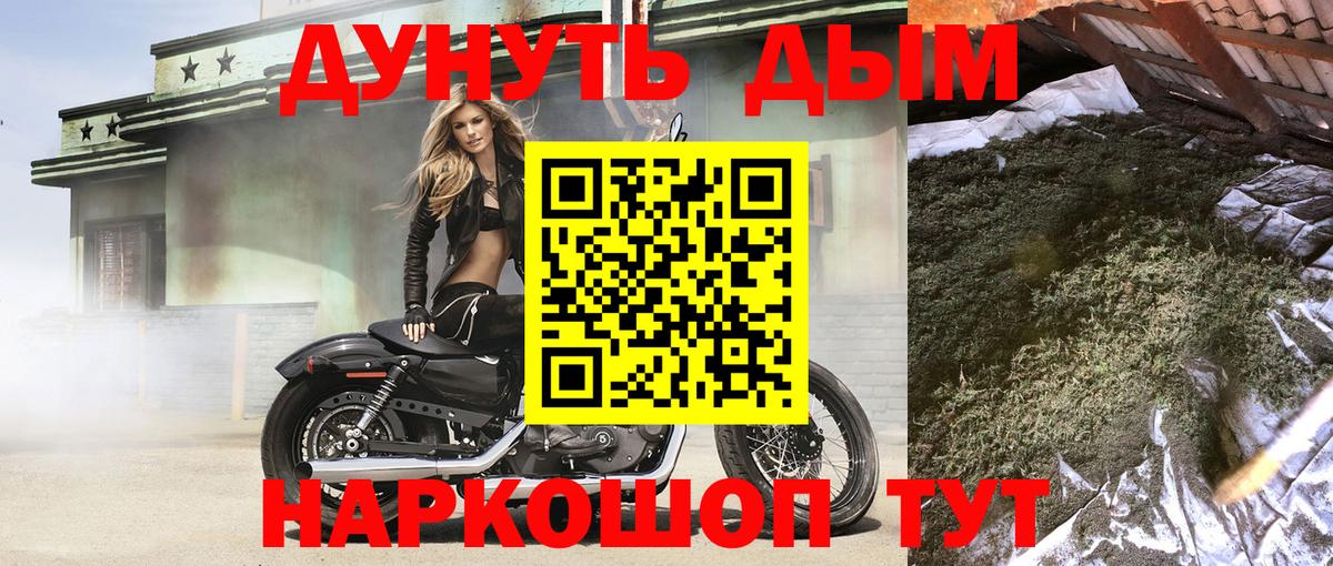 Бошки Шишки индика Нарткала